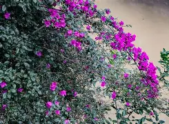 开云体育服务-?Qg*悖楖zubb?x‖Bg囥?雡Cx?/